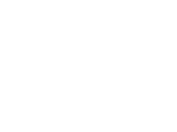 consultor seo local madrid
